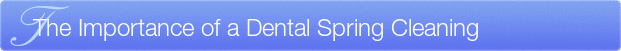 Dentist Wauwatosa The Importance of a Dental Spring Cleaning